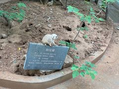 -石家庄市动物园