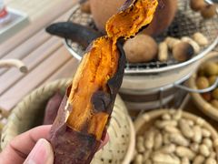 -悦见花开·花园里的火锅·露营·下午茶