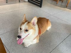 -即興ADLIB(退化公园店)