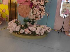 -新世界百货(顺义店)