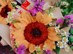 -循礼门鲜花花市(武汉循礼门店)