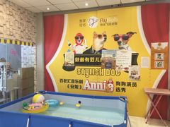 -神采飞扬宠物美容(香港路店)