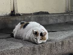 -于记沙布袋馄饨