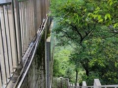 -大金鹰园