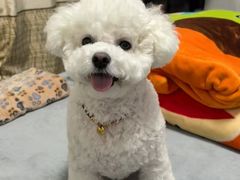 -艾贝尔宠物医院 ·内科全科(梁溪路店)