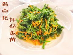 虫草花拌丝瓜苗-首钢一九一九大酒楼(石景山店)