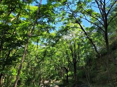 -云岫谷游猎自然风景区