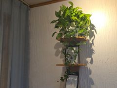 -瓦舍茶馆(聚源路店)