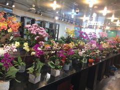 -双季花艺园艺市场(浦东店)