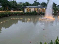 -陶缘一号·四季缘·老字号顺德菜·户外婚礼家宴(西滘店)