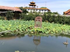 -白洋淀景区