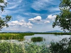 -野鸭湖国家湿地公园