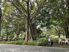 -海珠湖公园