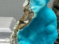 -湖南省地质博物馆