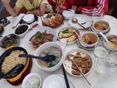 -MR鹅外