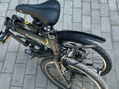 -道路口单车爱瓦士dahon大行