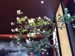 -俏江南天津时尚曲艺主题餐厅(马场道店)