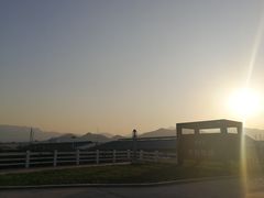 -君乐宝优致牧场