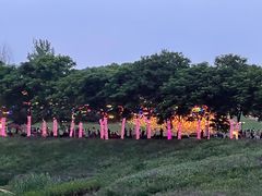 -大塘金香草谷