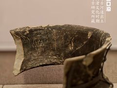 -北京大学赛克勒考古与艺术博物馆