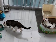 -观音桥步行街