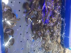 -澜悦港海鲜体验主题餐厅