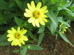 -松山湖南湖湾露营营地