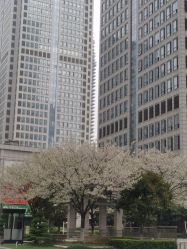 -道宾春健康管理中心