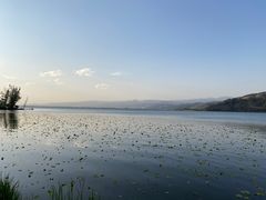 -西昌邛海湿地
