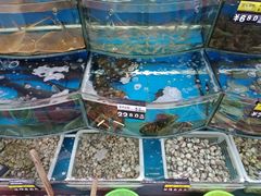 -渔中舟海鲜大排档(普陀沈家门店)