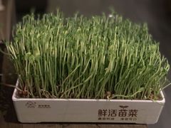 -湊湊火锅·茶憩(打浦桥日月光店)