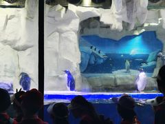 -华夏文旅海洋公园