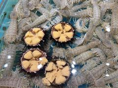 -连鹭海鲜·海肠捞饭·海胆饭(星海店)