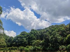 -深圳仙湖植物园