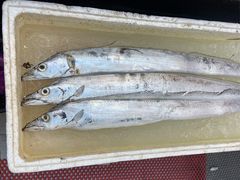 -渔中舟海鲜大排档(普陀沈家门店)