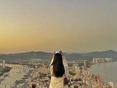 -广东惠东海龟国家级自然保护区
