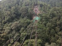 -九龙江国家森林公园