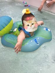 点击看大图 -爱玩爱游亲子母婴(旭辉广场店)