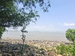 -上海吴淞炮台湾国家湿地公园