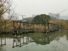 -长兴太湖图影湿地文化园