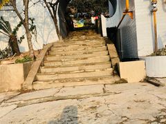 -桃源山庄·水蜜桃采摘·柴火鸡·烧烤团建(龙泉山店)