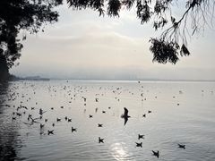 -海埂大坝