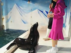 -成都浩海立方海洋公园