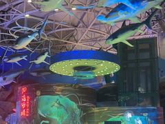 -烟台海昌鲸鲨海洋公园