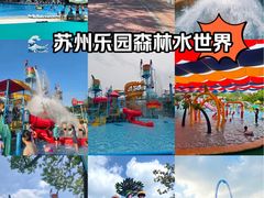 -苏州乐园森林水世界