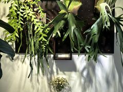 -echoes coffee回响咖啡(红山店)
