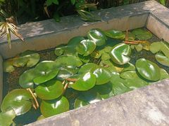 -李宗仁先生故居