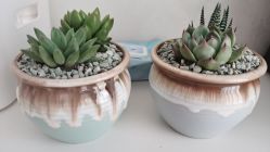 -爱玛家国际母婴月子会所(电力大厦店)