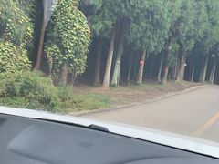 -山王坪喀斯特国家生态公园