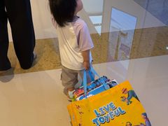 -TOYSRUS玩具反斗城(合肥万象城店)